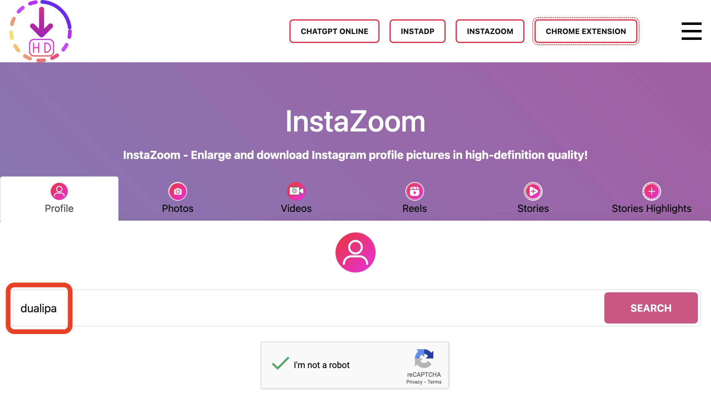 Paste the username - Instazoom